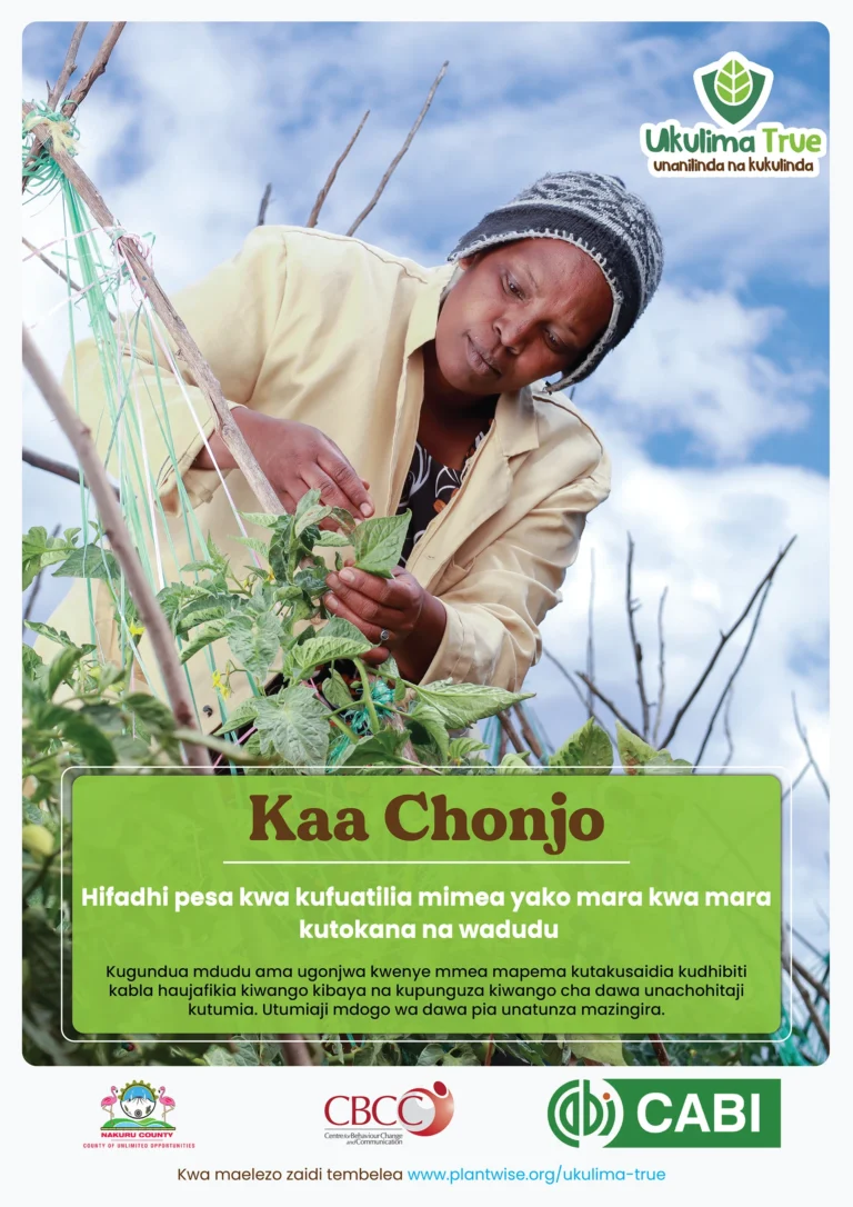 Kaa Chonjo