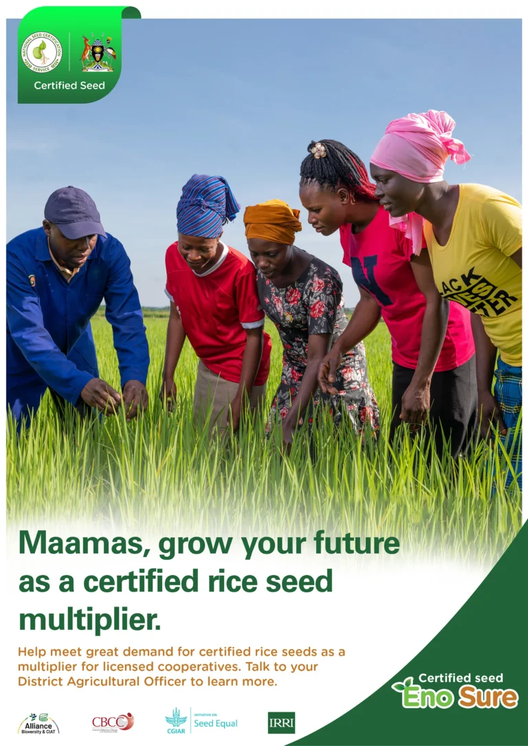 Mamas Grow your future