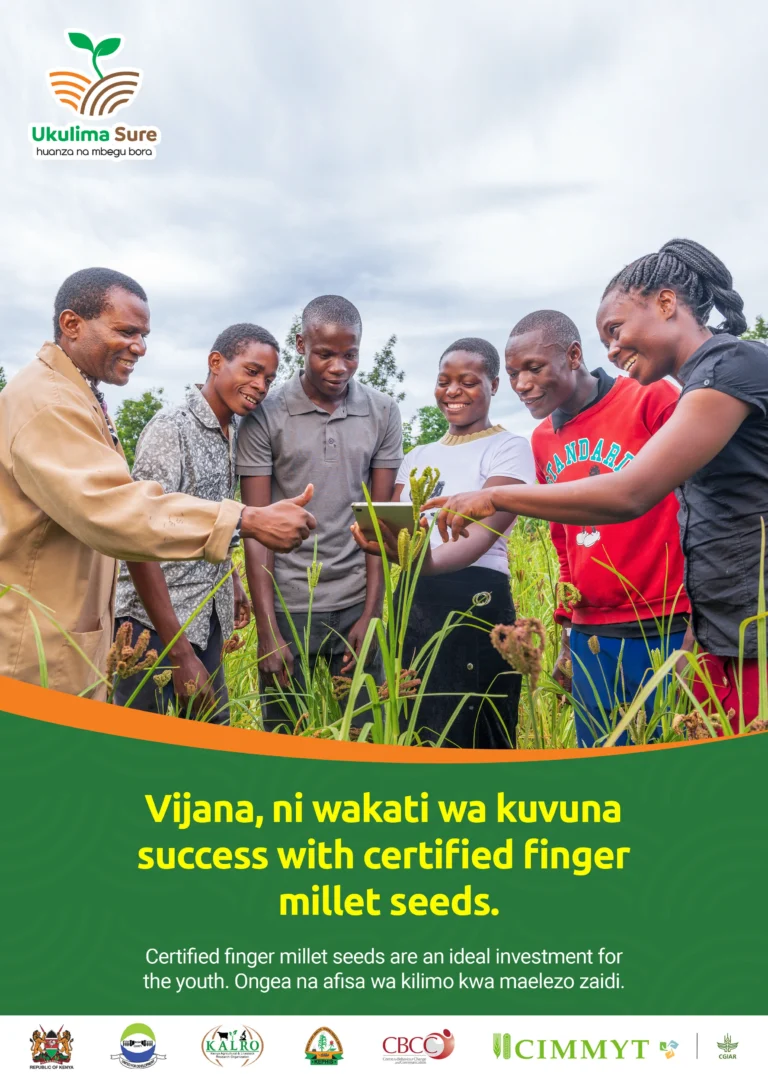 Vijana ni wakati wa kuvuna